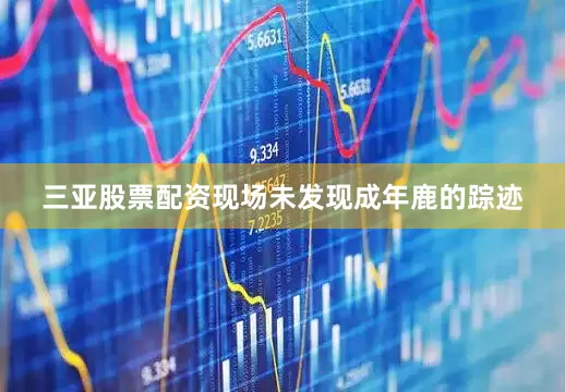 三亚股票配资现场未发现成年鹿的踪迹