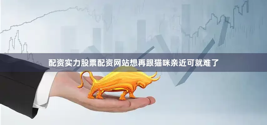 配资实力股票配资网站想再跟猫咪亲近可就难了