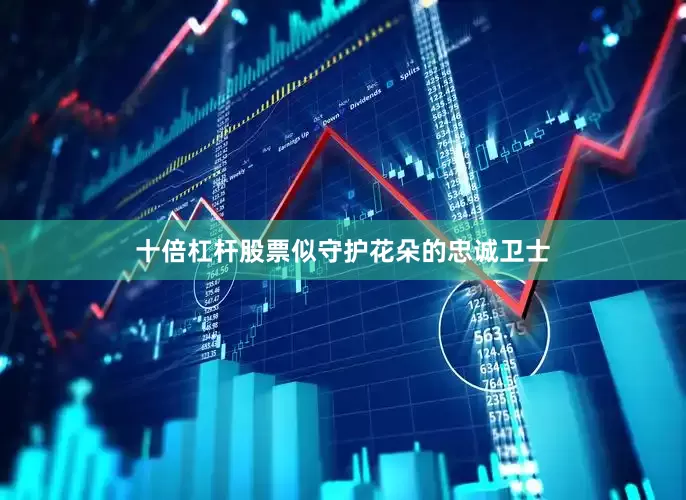 十倍杠杆股票似守护花朵的忠诚卫士