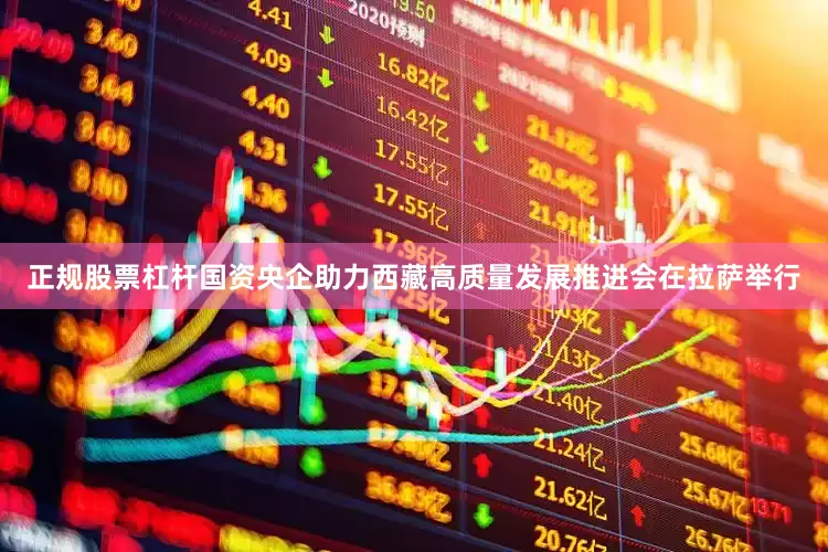 正规股票杠杆国资央企助力西藏高质量发展推进会在拉萨举行
