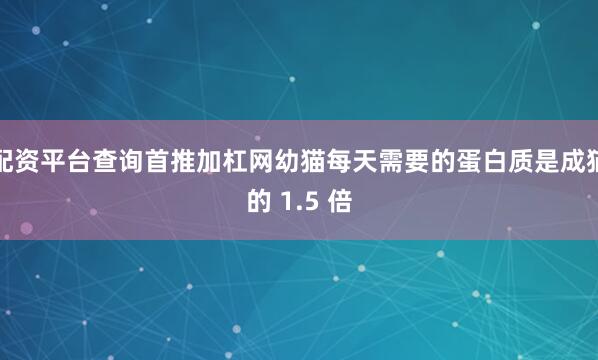 配资平台查询首推加杠网幼猫每天需要的蛋白质是成猫的 1.5 倍