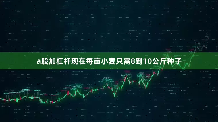 a股加杠杆现在每亩小麦只需8到10公斤种子