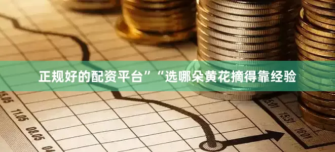 正规好的配资平台”“选哪朵黄花摘得靠经验